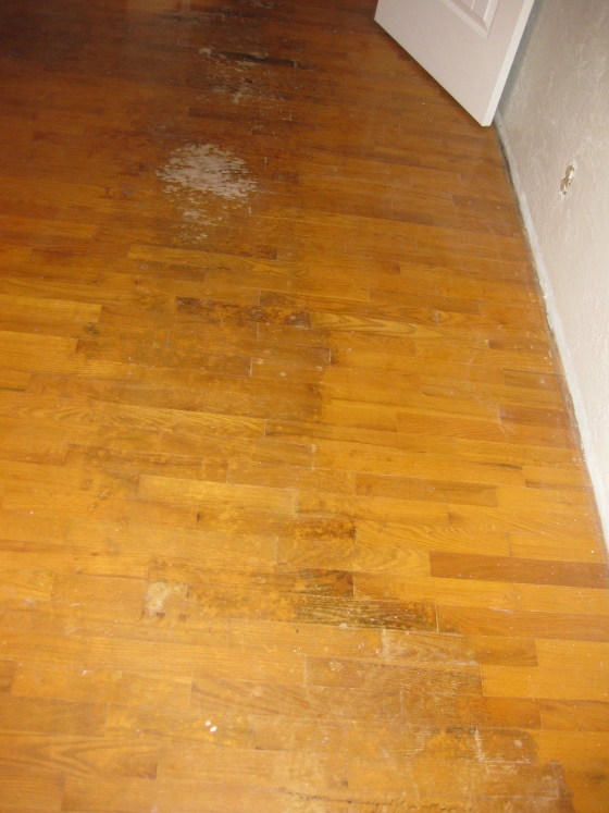 Floor Varnish Floor Varnish For Wood