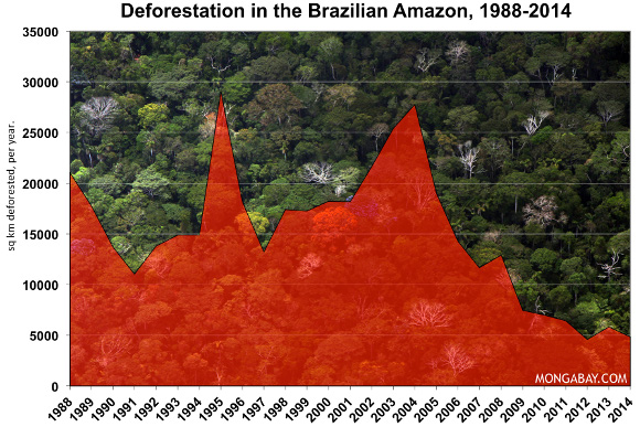 Brazil Deforestation Statistics