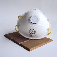 Dust Mask with Filter