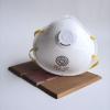 Dust Mask with Filter