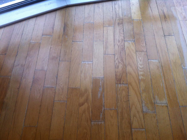 Canadian Red Oak Flooring Sandandseal Co Uk Wood Finishes Direct