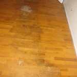varnished-wooden-floor-needs-repair