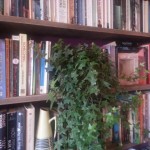 sanded-wood-floorboards-bookshelf