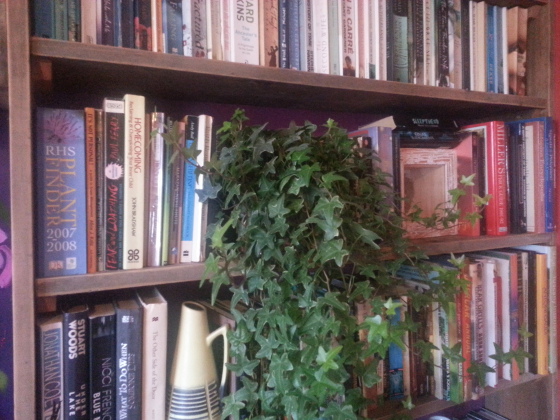 Sanded floorboards bookshelf