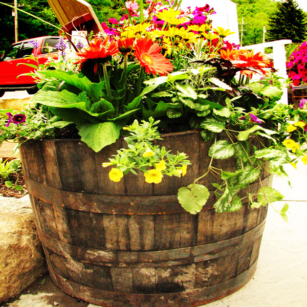 Beer Barrel Planter