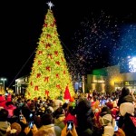 buy-giant-commercial-christmas-trees-designer