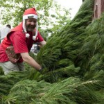 buying-christmas-trees-weekendnotes-com