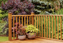 Revive Your Decking