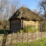 thatched-shed