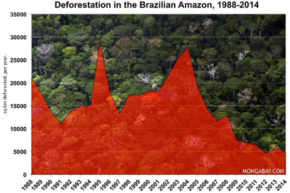 trees cut down per day