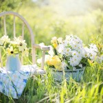 summer-garden