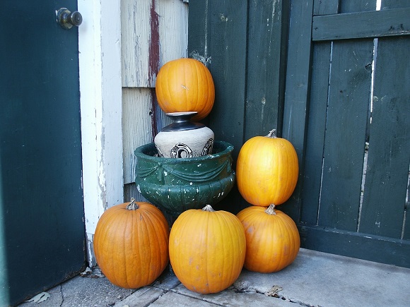 autumn-pumpkins-in-garden