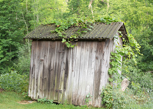 Old garden shed suffering from rot and decay