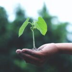 eco-friendly-garden-1