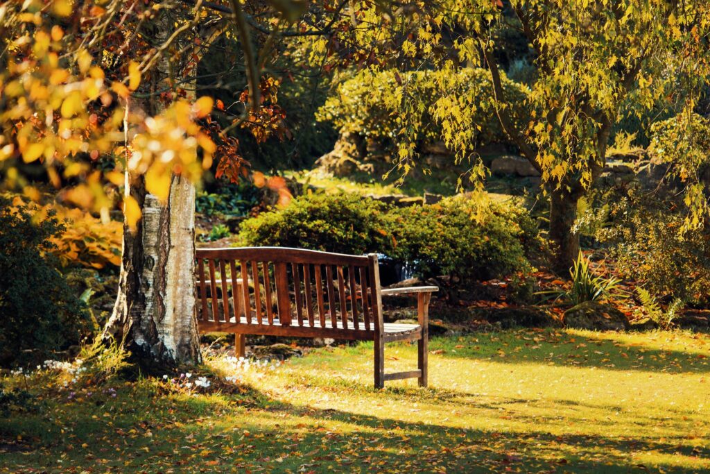 introvert-garden-bench