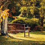 garden-bench