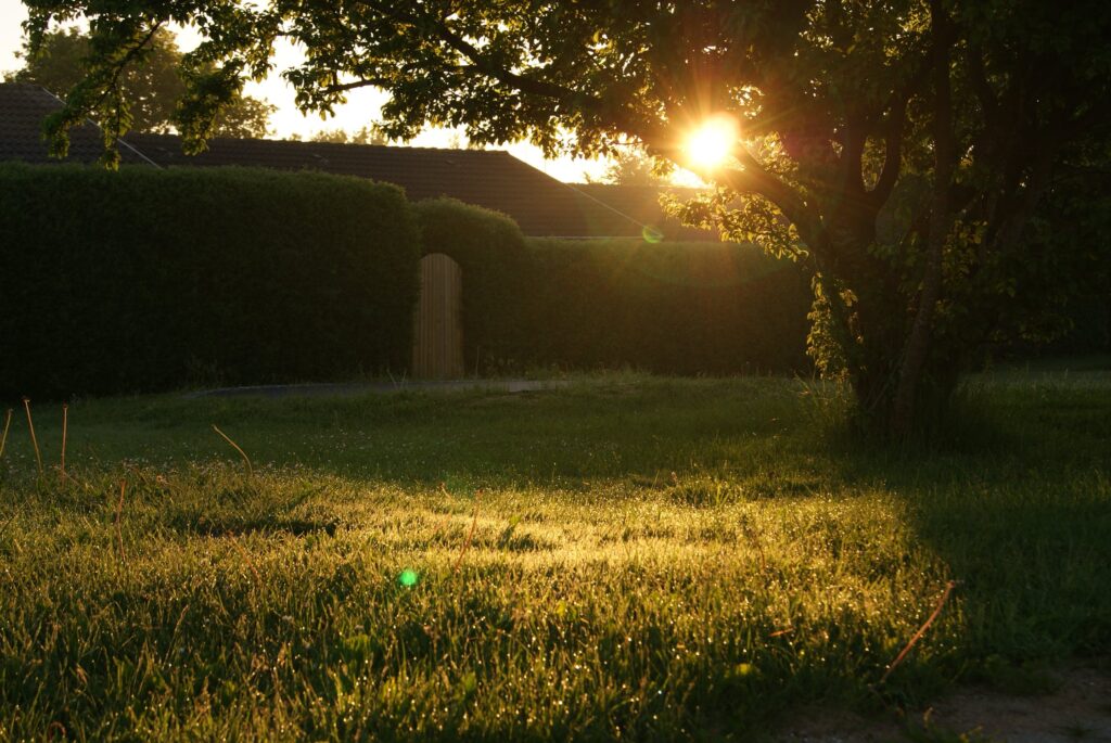 peaceful-garden