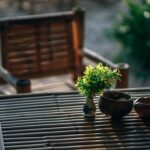 pexels-photo-1424464