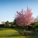 social-garden