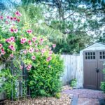 shed nature