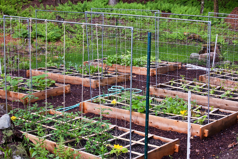 raised-garden-beds