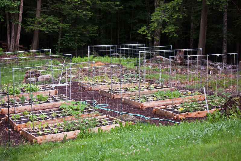 collection-rasied-garden-beds