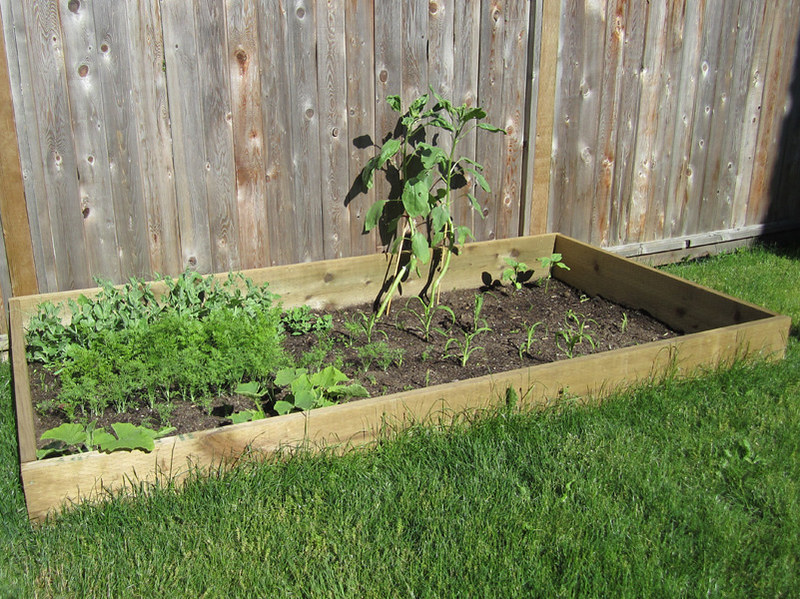 simple-raised-garden-bed