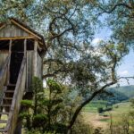 treehouse