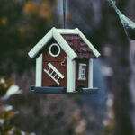 bird-house