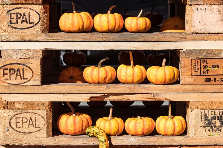 pallet-pumpkins
