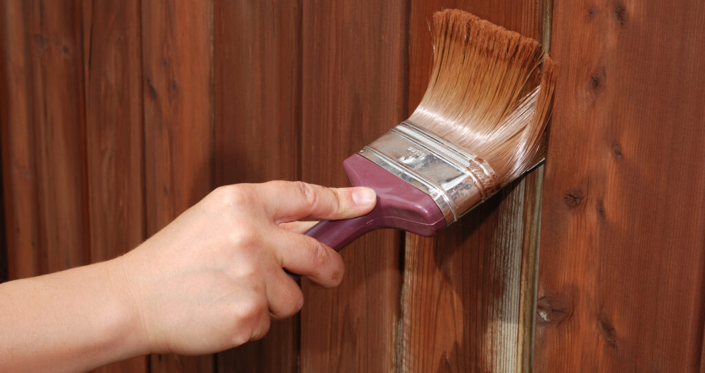 Staining a fence panel in Cuprinol's 5 Year Ducksback Autumn Brown