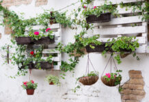 Our Top Garden Paints to Save your Garden White exterior wall covered in hanging plants