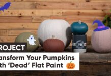 Transform Your Pumpkins with ‘Dead’ Flat Paint