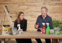 Mould in the Home: Why It Happens, How to Fix It Properly, and What the Law Now Requires