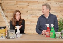 Mould in the Home: Why It Happens, How to Fix It Properly, and What the Law Now Requires Mould in the Home: Why It Happens, How to Fix It Properly, and What the Law Now Requires