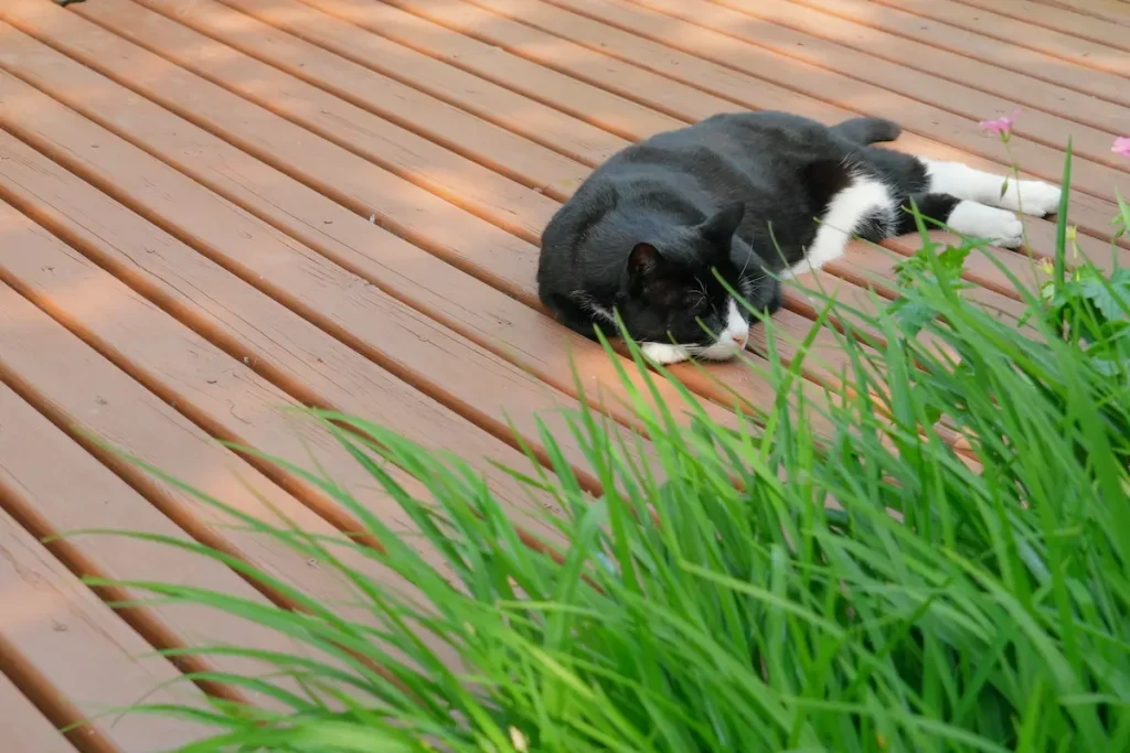 Painted garden decking still in good condition one year later
