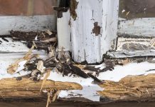 Is it Possible to Repair Cracked or Rotten Wood? From Rotten Timber to a Lasting Repair