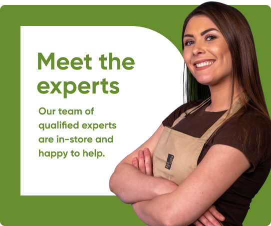 Meet the experts