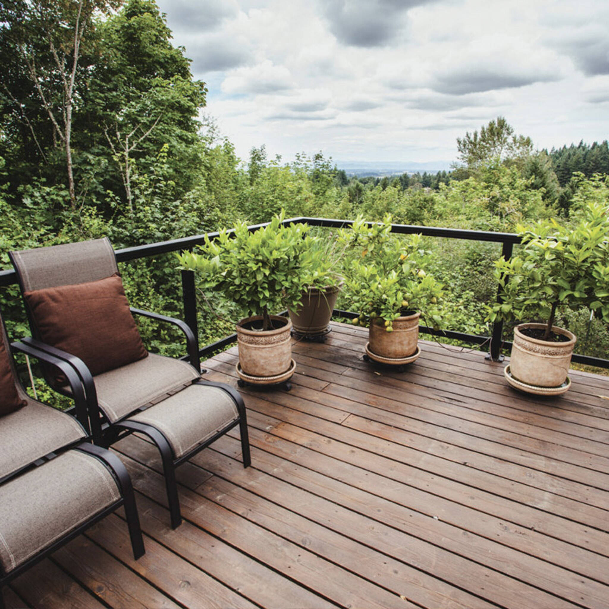 Decking Oil