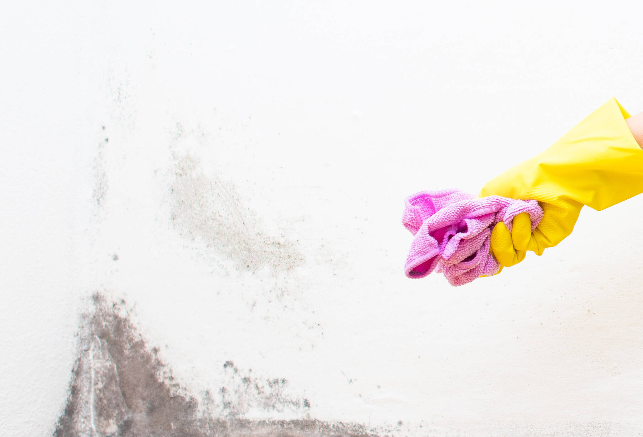 Mould Resistant Paint