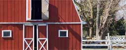 Barn Finishes