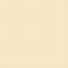 Sandtex Microseal Fine Textured Masonry Paint - Cornish Cream