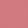Earthborn Eco Chic Paint - Delilah