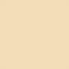 Earthborn Silicate Masonry Paint - Sandstone