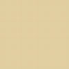 Earthborn Silicate Masonry Paint - Oatmeal