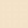 Earthborn Silicate Masonry Paint - York
