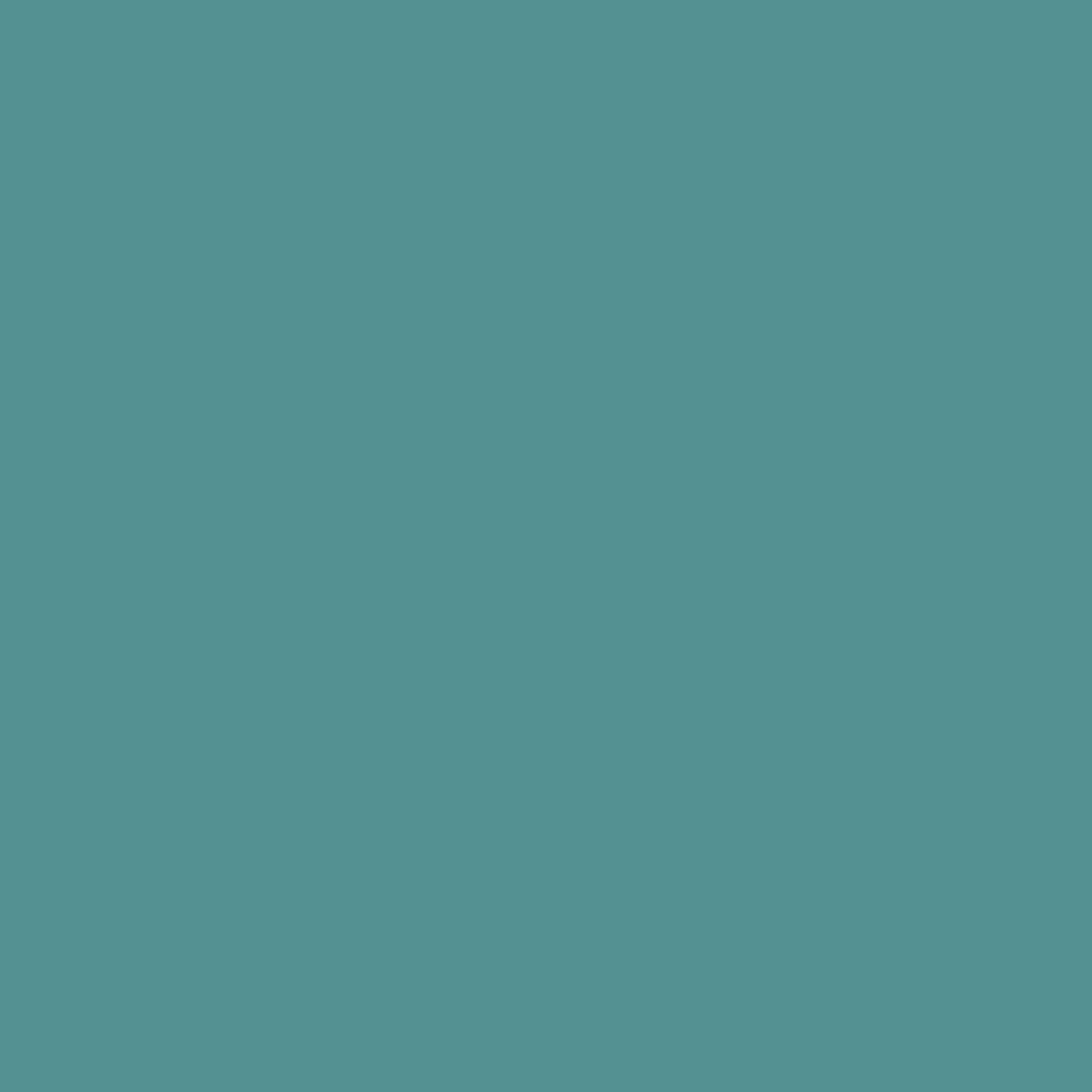 Protek Royal Exterior Paint - 125ml,1L, 2.5L & 5L - Protective Wood Paint