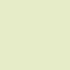 Protek Royal Exterior Paint - Lime White