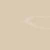 Protek Wood Stain and Protect - Fawn