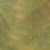 Protek Decking Stain - Light Green
